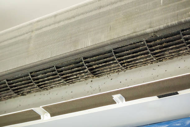 Best Local Air Duct Cleaning Services  in Cherryvale, KS